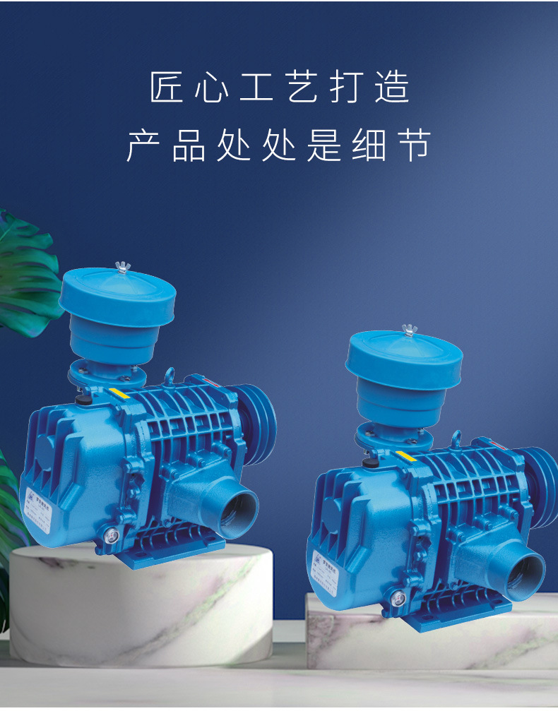 水产养殖罗茨鼓风机详情图3